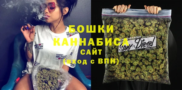 сатива Алзамай