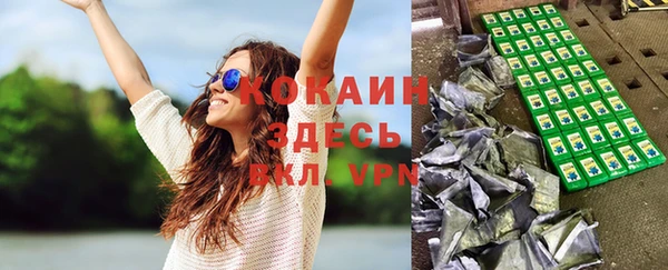 сатива Алзамай