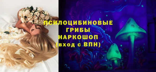 сатива Алзамай