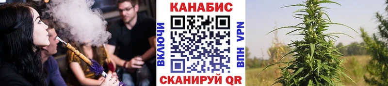 где купить   Киров  Шишки марихуана VHQ 